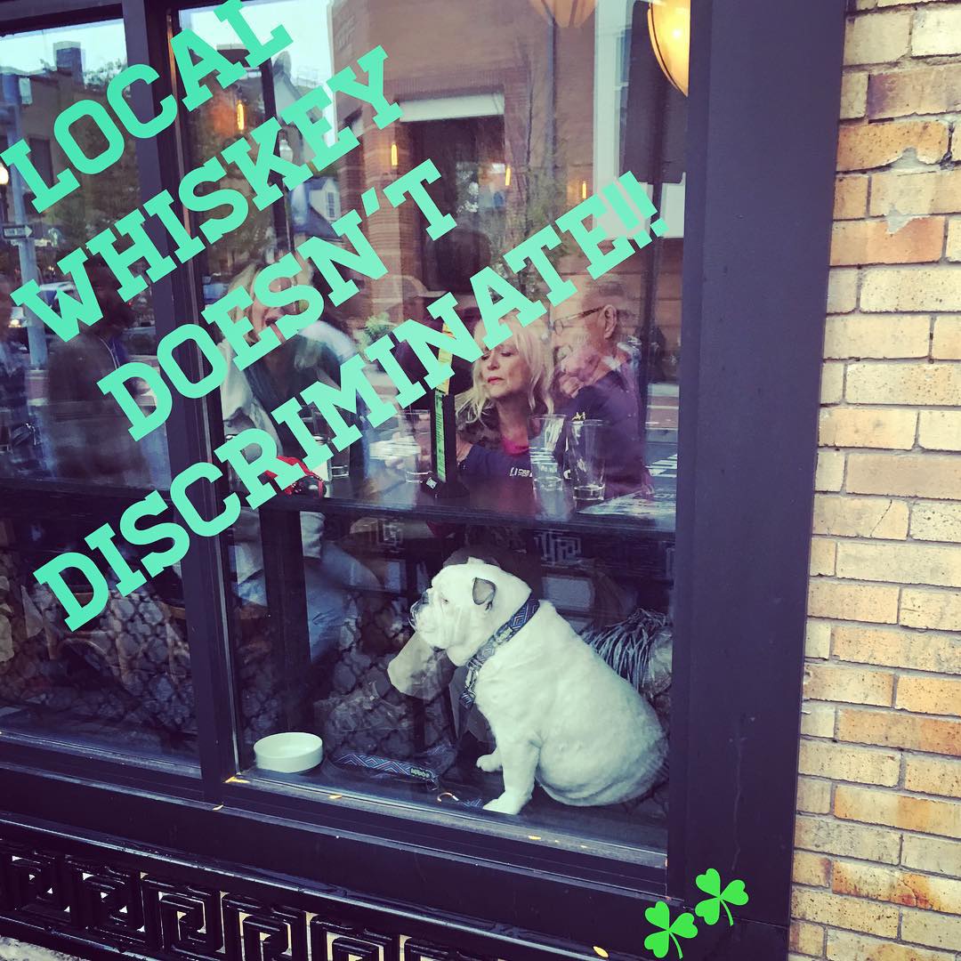 Come visit us on this football Saturday at LOCAL WHISKEY and maybe you'll get lucky enough to meet our cutest costumer